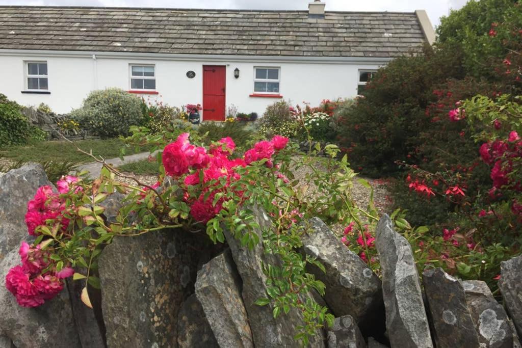 Red Stonecutters Cottage, Doolin Carrowauff Esterno foto